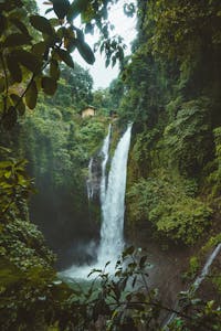 Stunning waterfall in a lush tropical rainforest in Sukasada, Bali. Perfect for nature lovers.